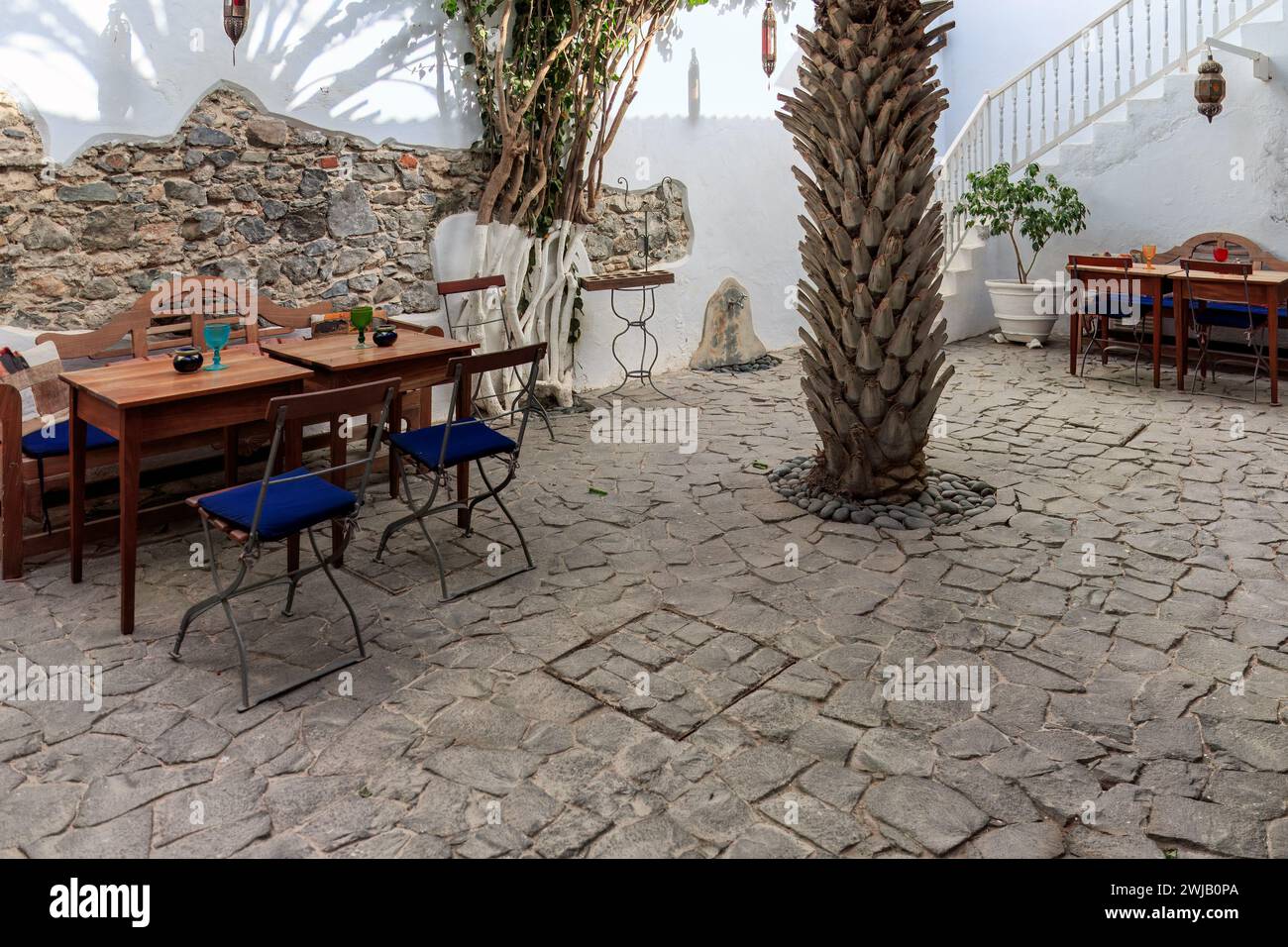 Le charme du café de Sal Rei : plantes tropicales, patio en pierre et plats frais. Boa Vista, Cap-Vert. Banque D'Images
