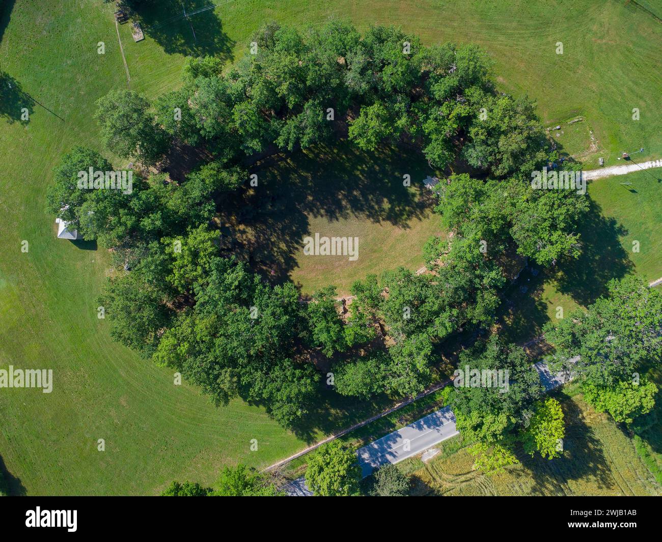 Urbisaglia (Italie, Marches, province de Macerata), zone archéologique d'Urbs Salvia (amphithéâtre) Banque D'Images