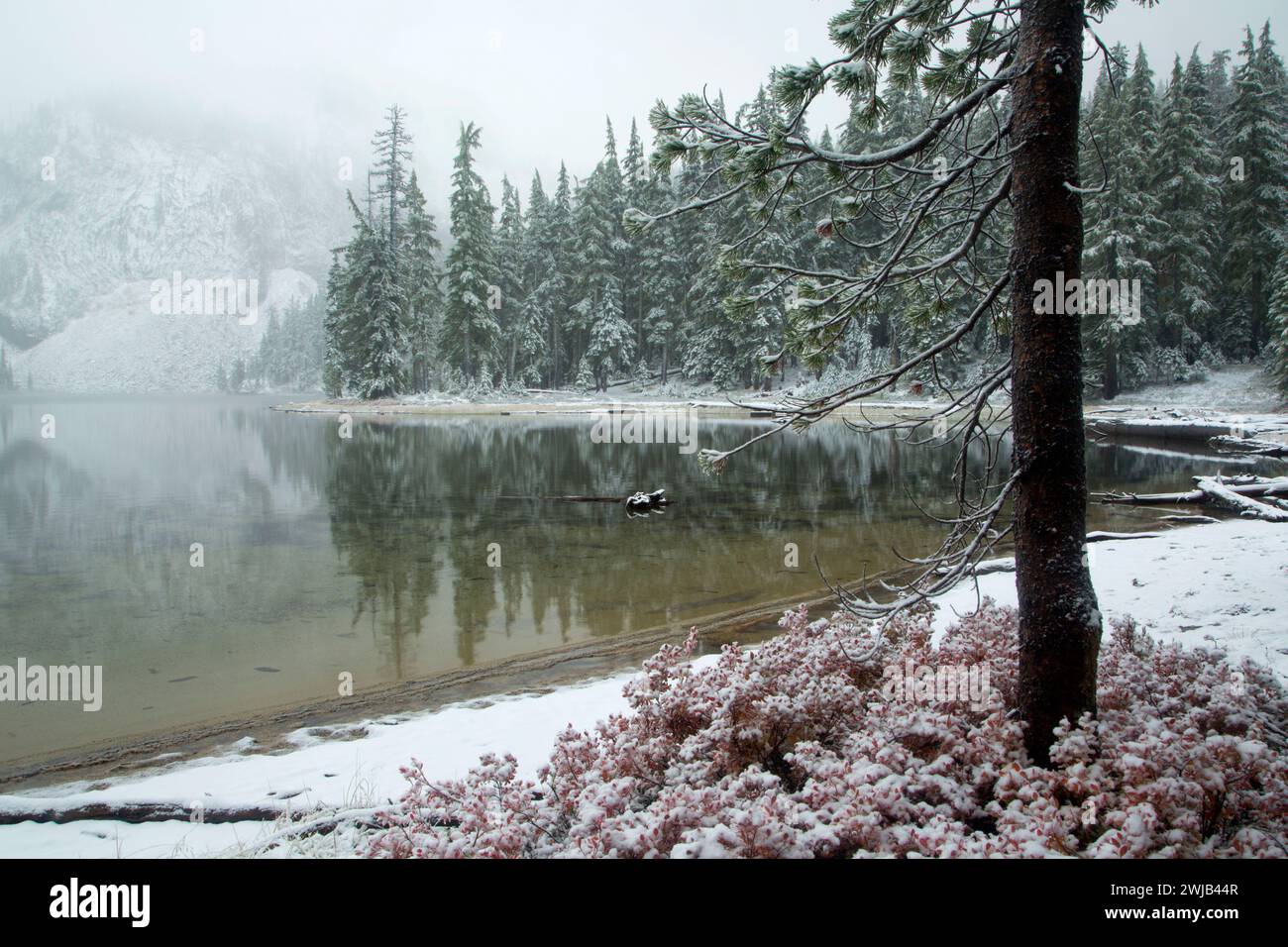 Nouvelle neige au lac Indigo Indigo sur sentier du lac, Cascade Lakes Recreation Area, forêt nationale de Willamette, Oregon Banque D'Images