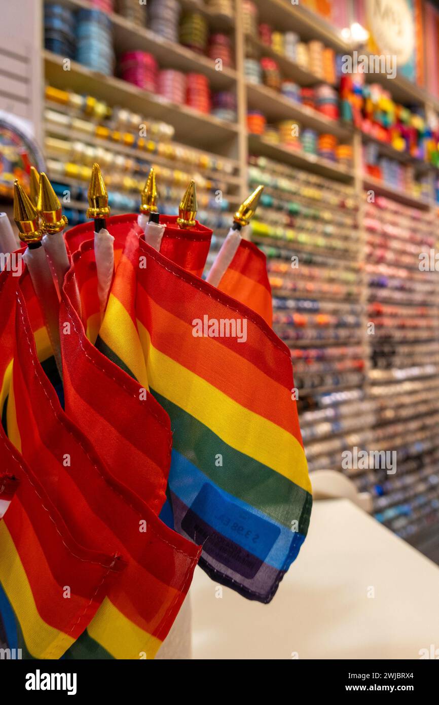 Rainbow Pride Flags at M&J Trimming, Fashion District, NYC, 2024 Banque D'Images