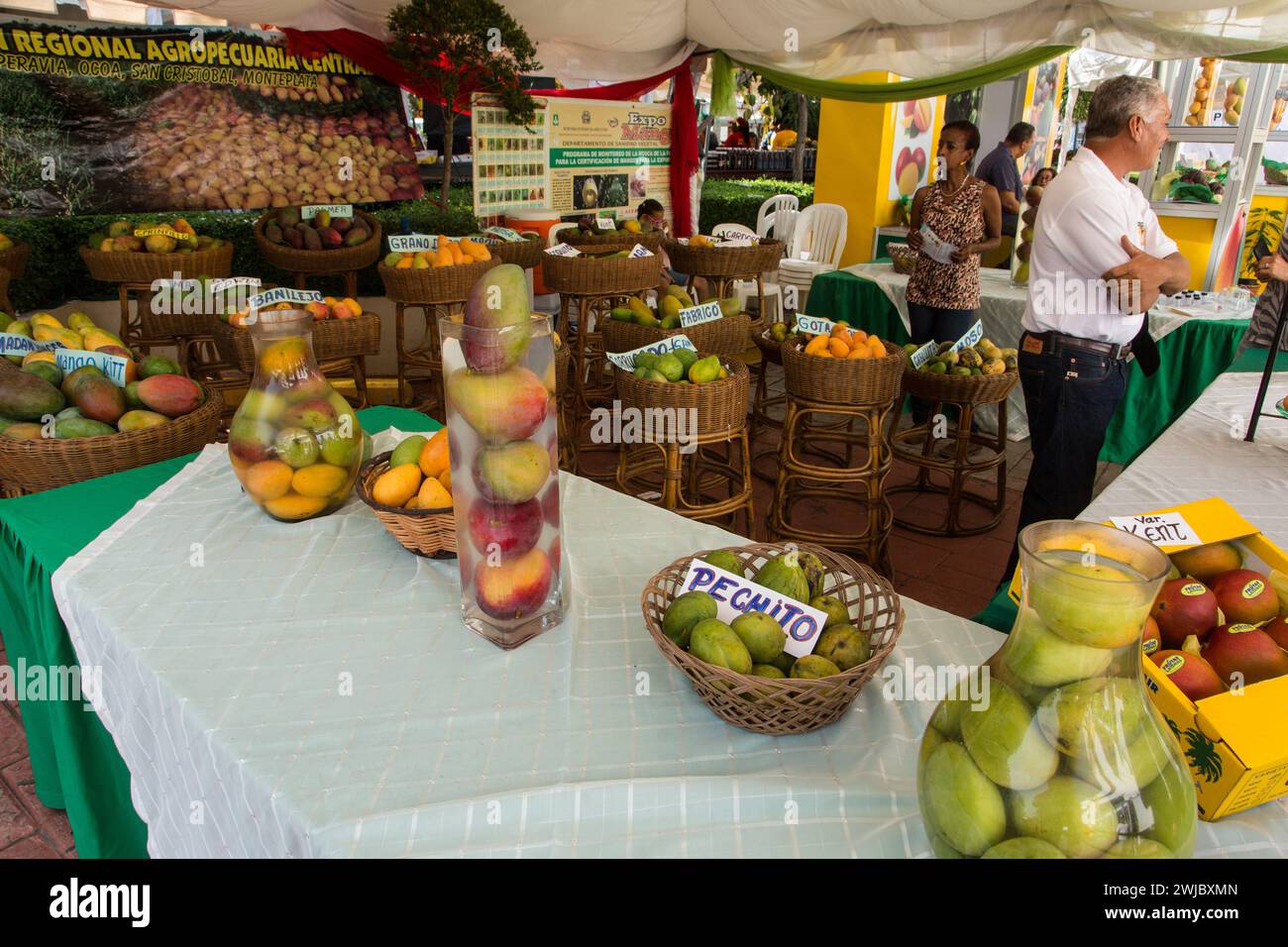 Une exposition de différentes variétés de mangues à la Bani Mango Expo à Bani, République Dominicaine. Banque D'Images