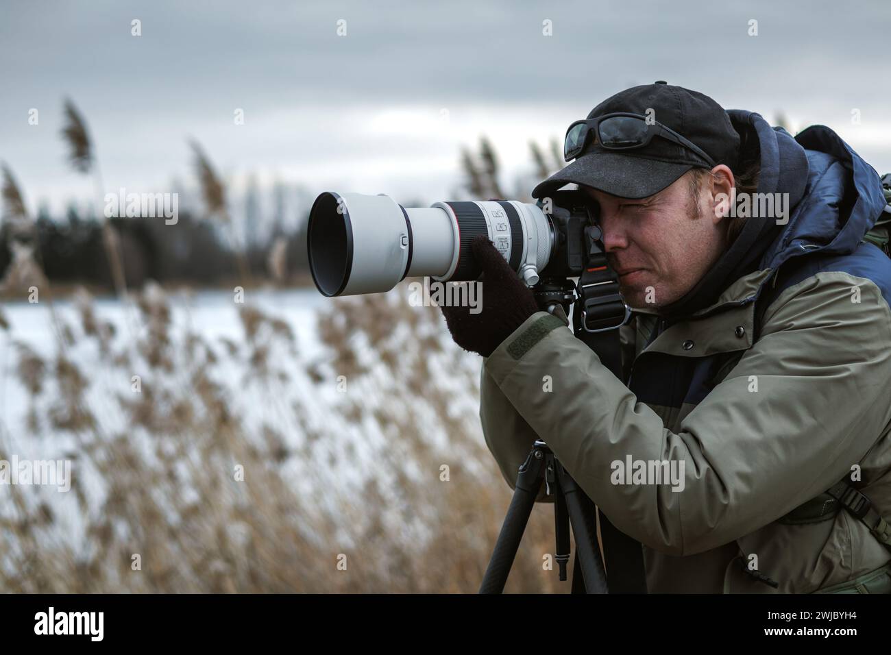 Photographe animalier installe l'appareil photo sur trépied à l'extérieur. Homme photographiant le paysage ou les animaux au lac en hiver. Observation des oiseaux Banque D'Images