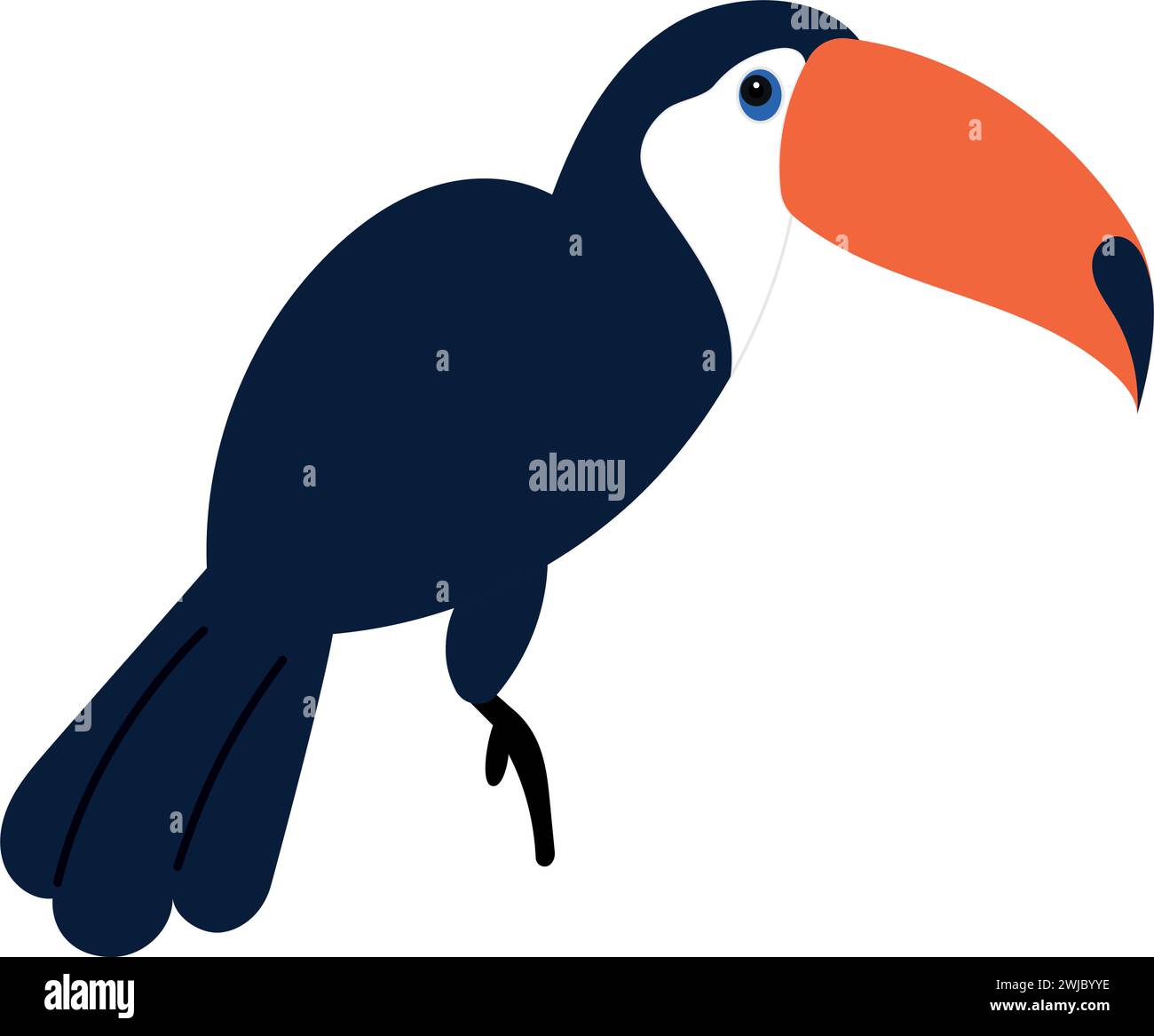 Vecteur coloré d'oiseau tropical brésilien toucan Illustration de Vecteur