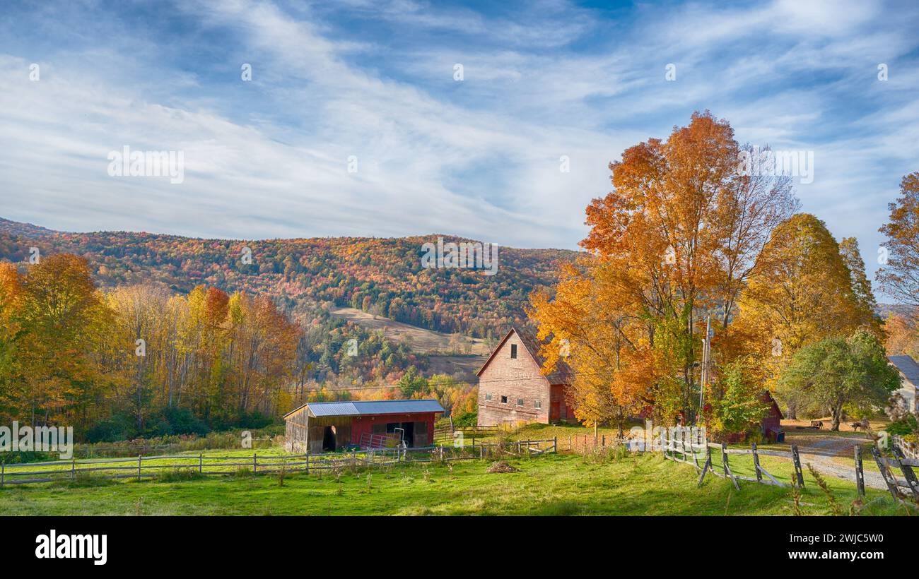 Maple Grove Farm, South Royalton, Vermont Banque D'Images