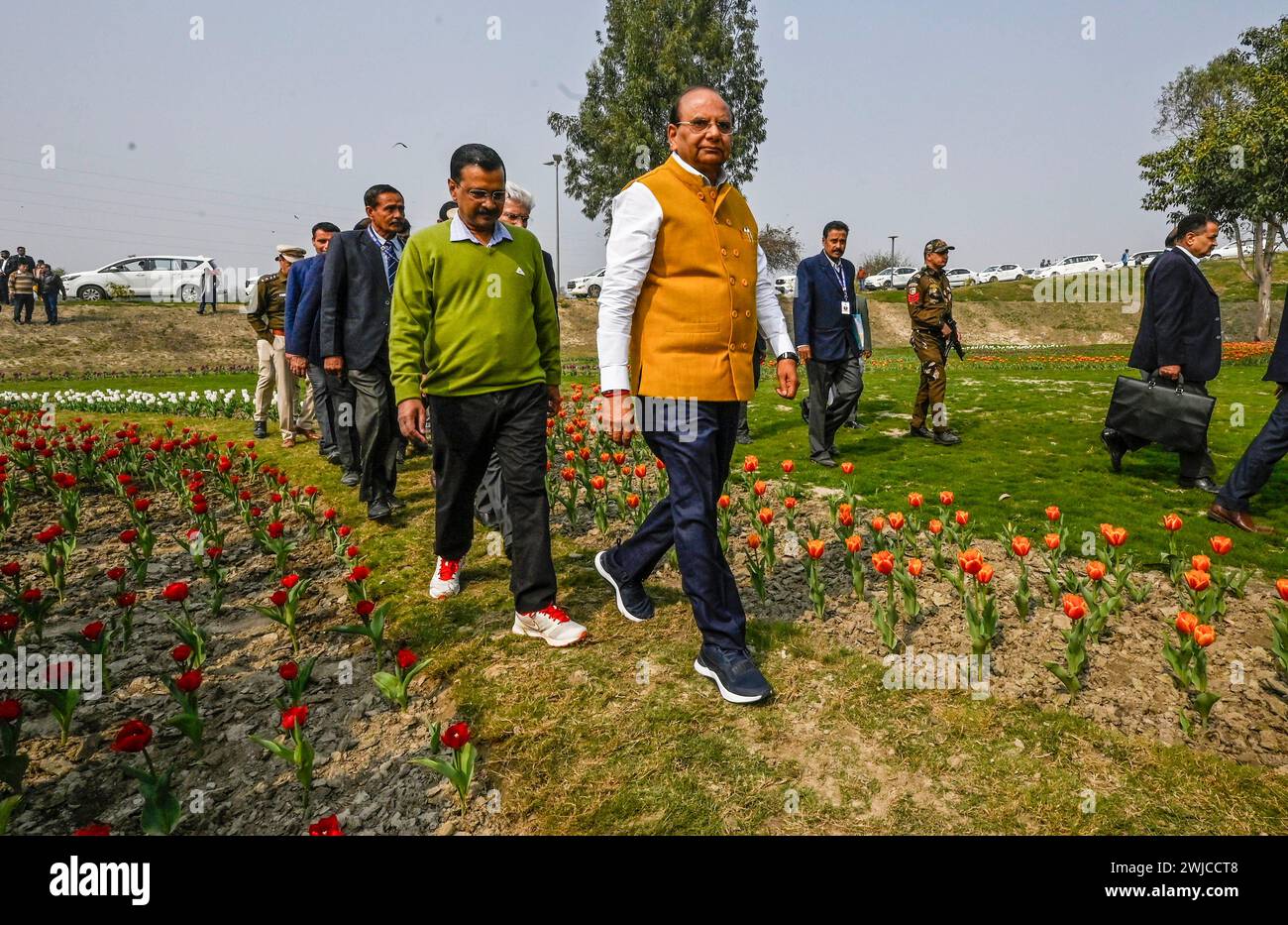 NEW DELHI, INDE - 14 FÉVRIER : Delhi LG Vinai Kumar Saxena, le ministre en chef de Delhi Arvind Kejriwal en visite au jardin des tulipes après avoir débarqué 350 bus électriques DTC, à Baansera à Sarai Kale Khan le 14 février 2024 à New Delhi, en Inde. La flotte de bus électriques du gouvernement de Delhi passera à 1 650, avec 350 bus électriques ajoutés à la flotte mercredi. (Photo de Raj K Raj/Hindustan Times/Sipa USA ) crédit : Sipa USA/Alamy Live News Banque D'Images