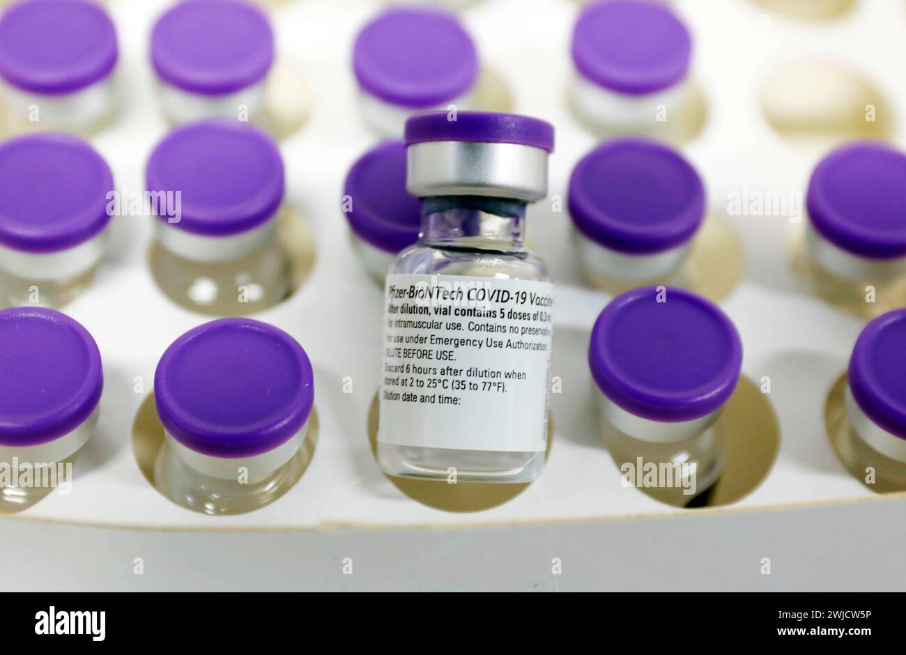 Flacons de vaccin avec le vaccin Covid19 BioNTech Pfizer, Schoenefeld, 15 février 2021 Banque D'Images