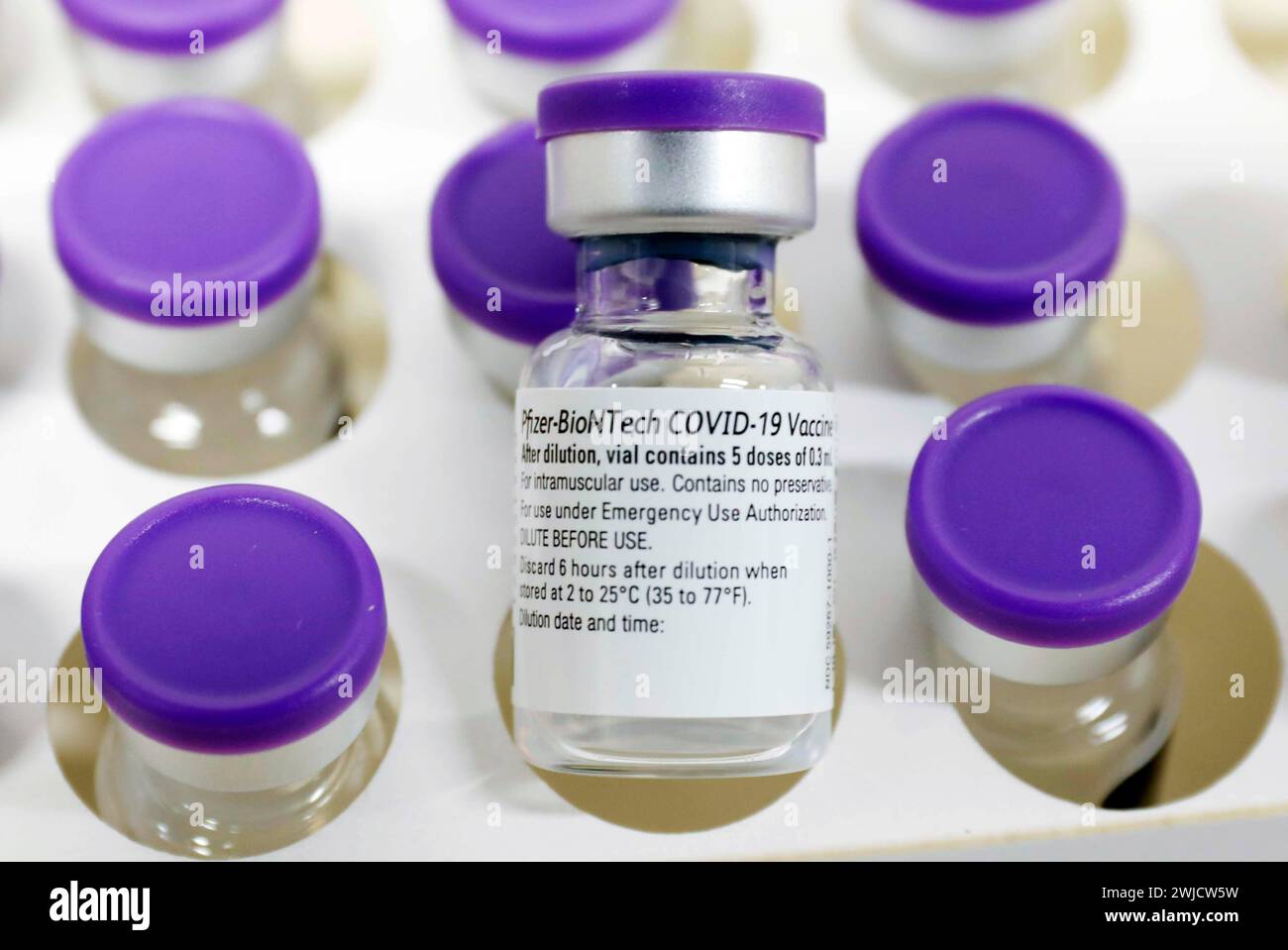 Flacons de vaccin avec le vaccin Covid19 BioNTech Pfizer, Schoenefeld, 15 février 2021 Banque D'Images