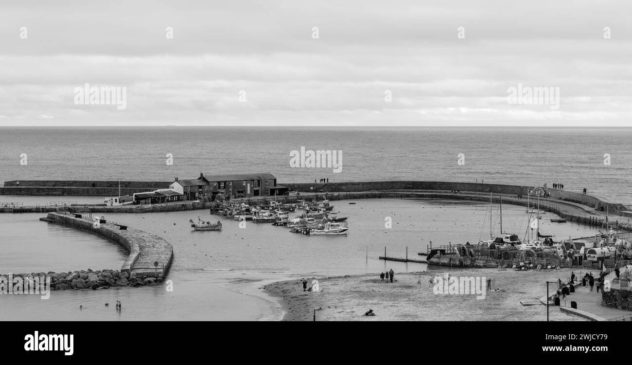 Photo panoramique du port de Lyme Regis dans le Dorset Banque D'Images