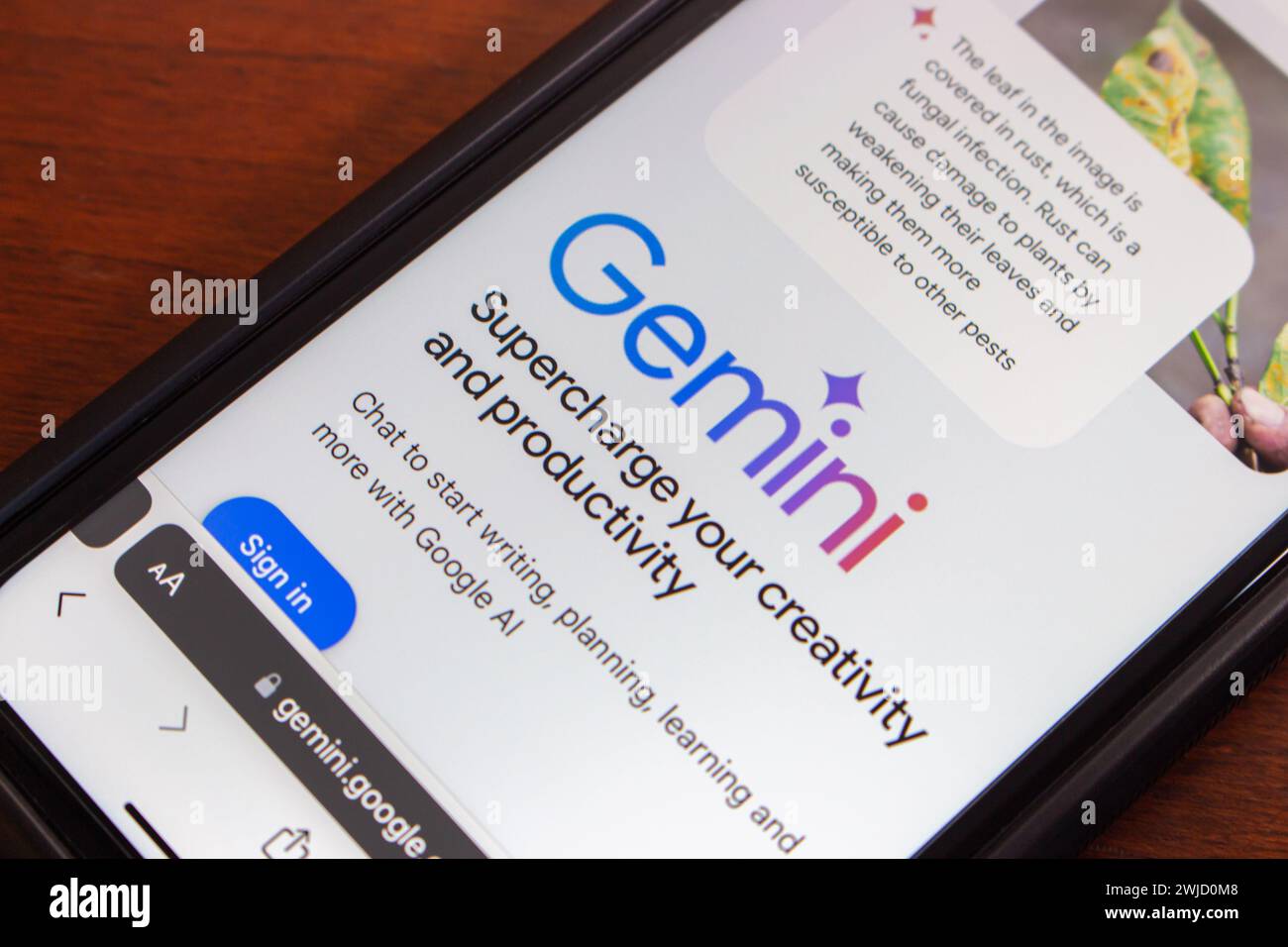 Site Web Google Gemini vu dans un écran iPhone. Gemini est une famille de modèles d'IA, le modèle d'IA de prochaine génération le plus grand et le plus capable par Google DeepMind. Banque D'Images