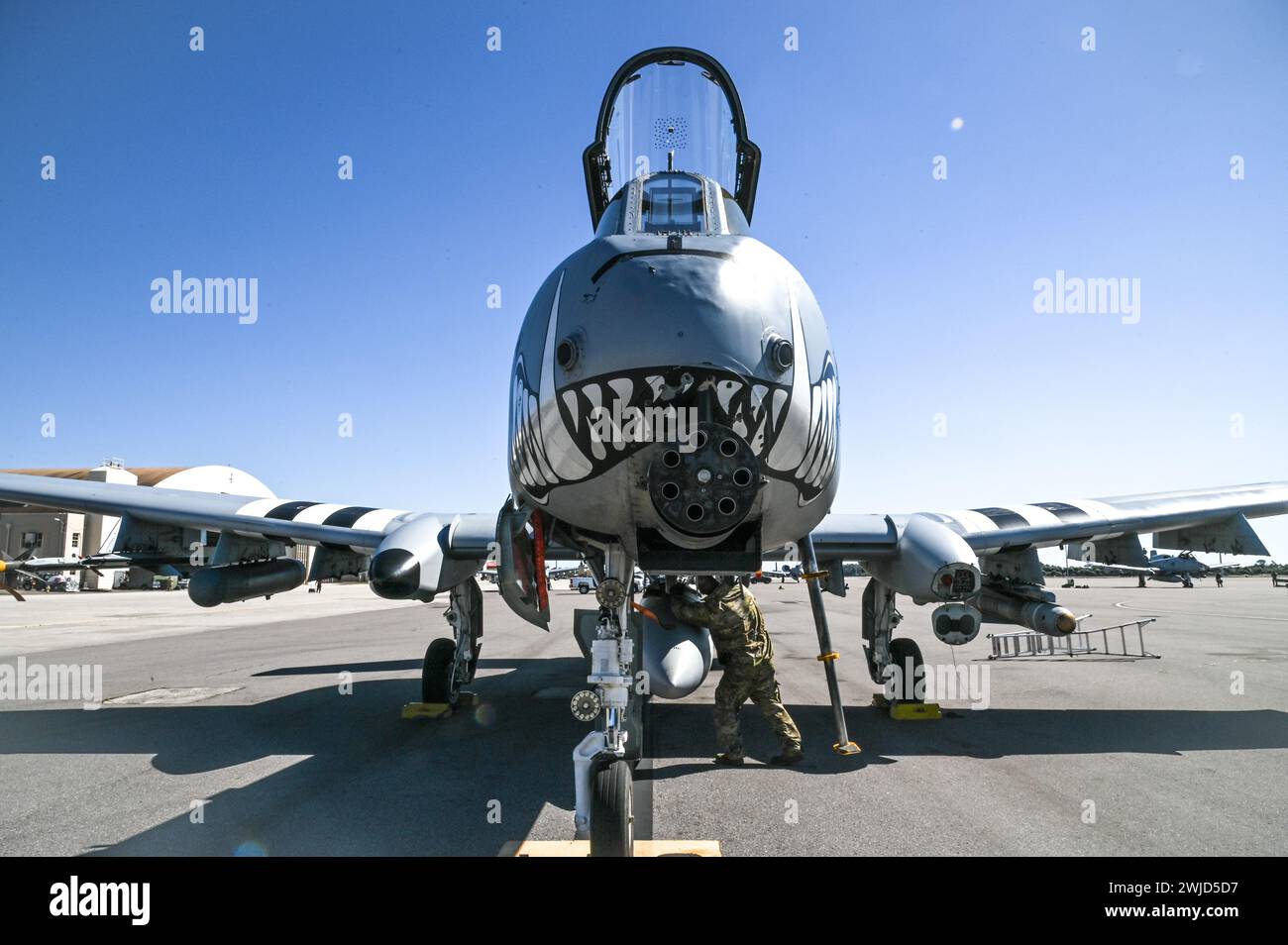 Les chefs d'équipage affectés au 442nd Aircraft maintenance Squadron effectuent une inspection post-vol sur un A-10C Thunderbolt II affecté au 303rd Fighter Squadron, Whiteman Air Force base, Missouri, le 6 février 2024 à MacDill AFB, Floride. Le A-10 peut employer une variété de munitions conventionnelles, y compris des bombes à usage général, des unités de bombes à fragmentation, des bombes guidées par laser et des munitions d'attaque directe conjointe. Il utilise le canon GAU-8/A de 30 mm, capable de tirer 3 900 coups par minute pour vaincre une grande variété de cibles, y compris des chars. (Photo de l'US Air Force par Airman 1st Class Sterling Sutton) Banque D'Images