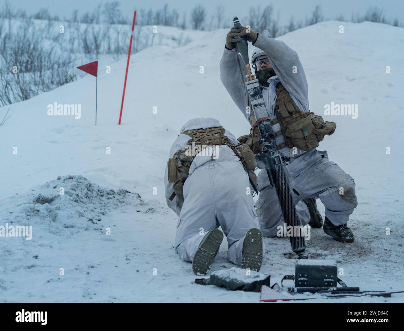 Les soldats de l’armée norvégienne avec le 1er Bataillon blindé se préparent à tirer un mortier de 81 mm tout en démontrant leurs capacités dans un environnement arctique en préparation de l’exercice OTAN Nordic Response 2024 à Setermoen, Norvège, janvier 31, 2024. Nordic Response est un exercice national norvégien de préparation et de défense conçu pour renforcer les capacités militaires et la coopération alliée dans des combats de haute intensité dans un environnement arctique difficile. Cet exercice permettra de tester les activités militaires allant de la réception de renforts alliés et partenaires et de l'interopérabilité du commandement et du contrôle à la co Banque D'Images