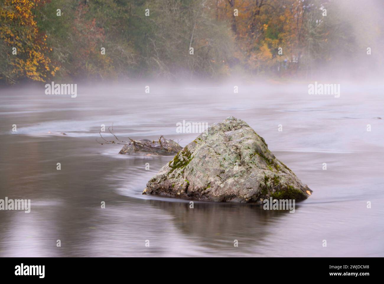 Boulder dans la rivière North Santiam, parc national North Santiam, Oregon Banque D'Images