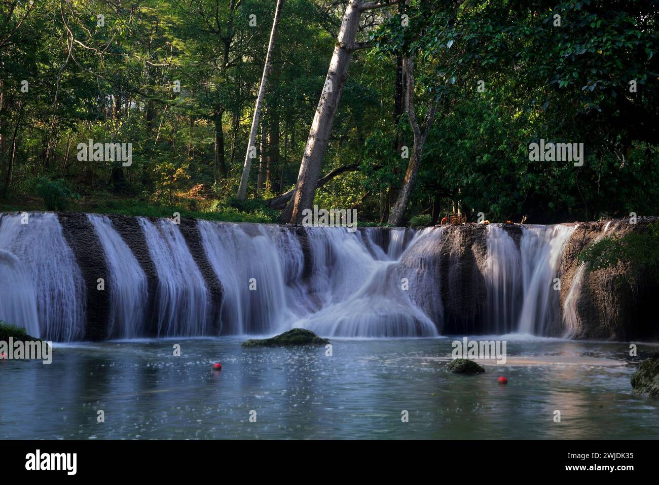 photo de paysage, petite cascade dans la forêt verte Banque D'Images