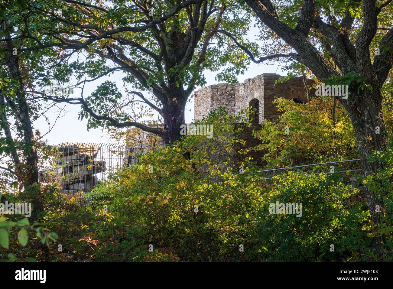 À travers les branches de chênes, une structure en pierre avec une brèche dans son mur se dresse sur une falaise au-dessus d'une falaise au parc militaire national de Chickamauga et Chattanooga. Banque D'Images
