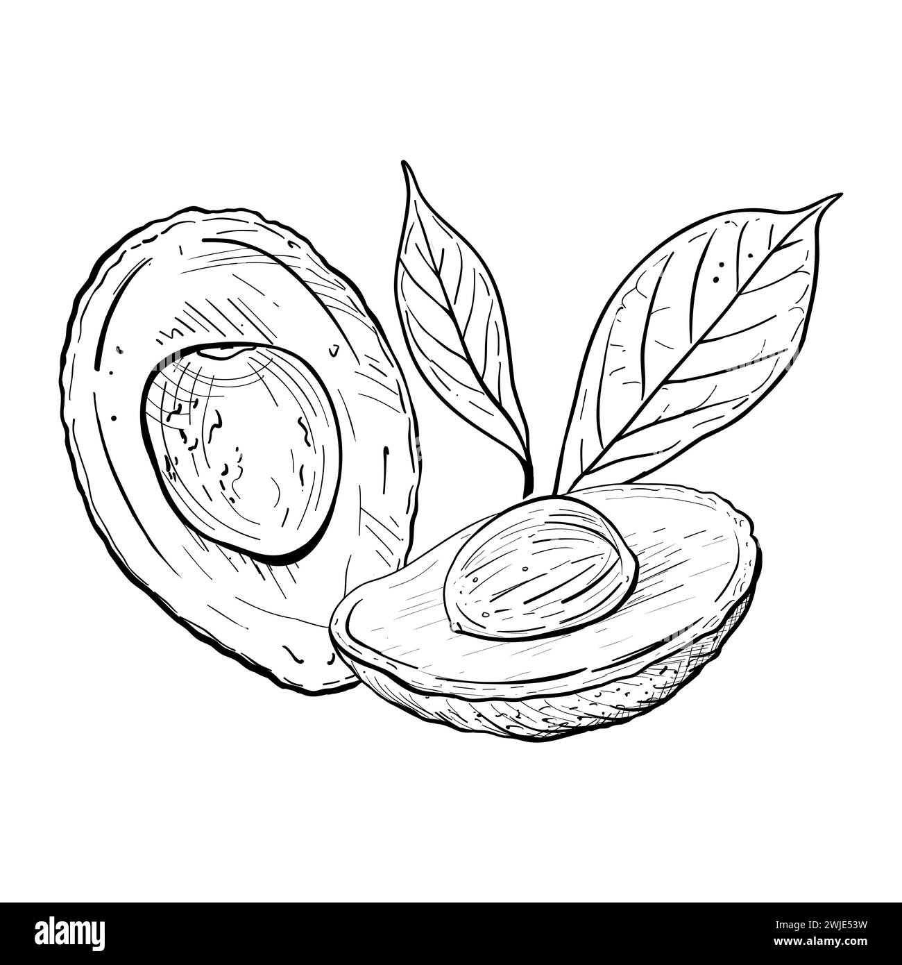 Toast Jambon De Parme , Avocat, Et Graines De Sésame Noir