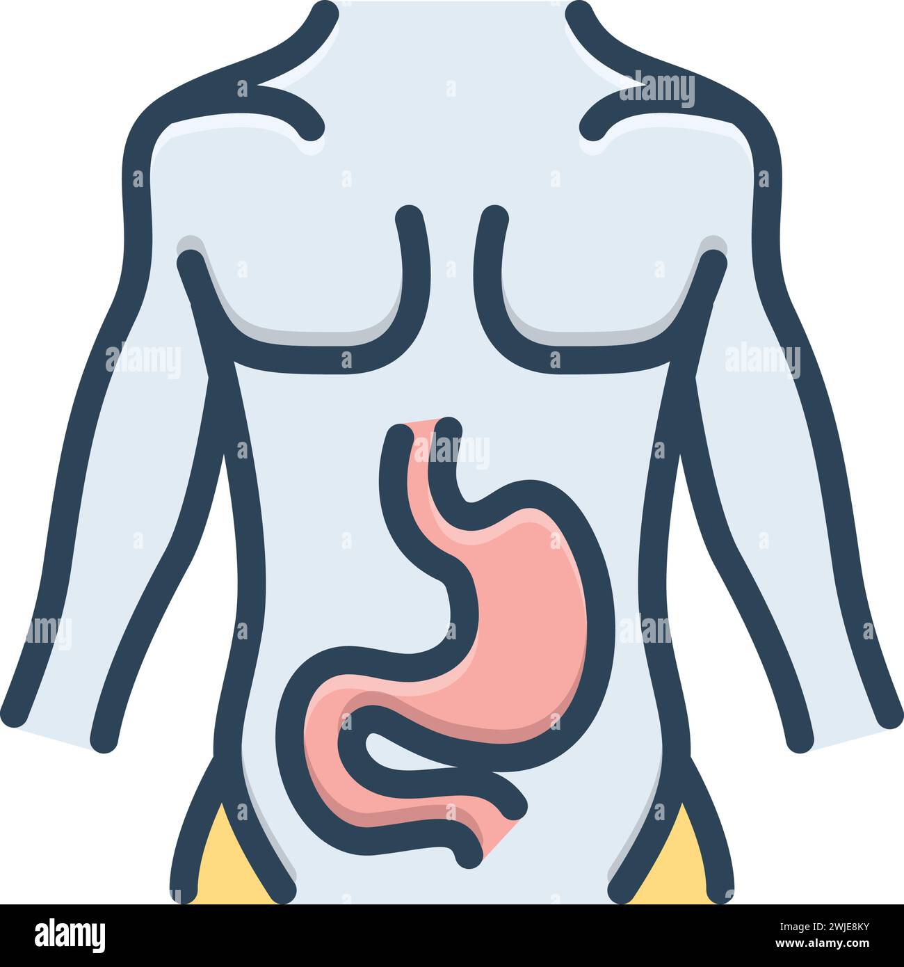 Icône pour estomac, ventre Illustration de Vecteur