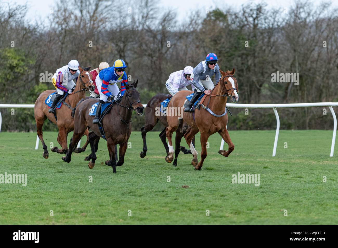 Courses de Wincanton 19 février 2022 - course 5 Banque D'Images