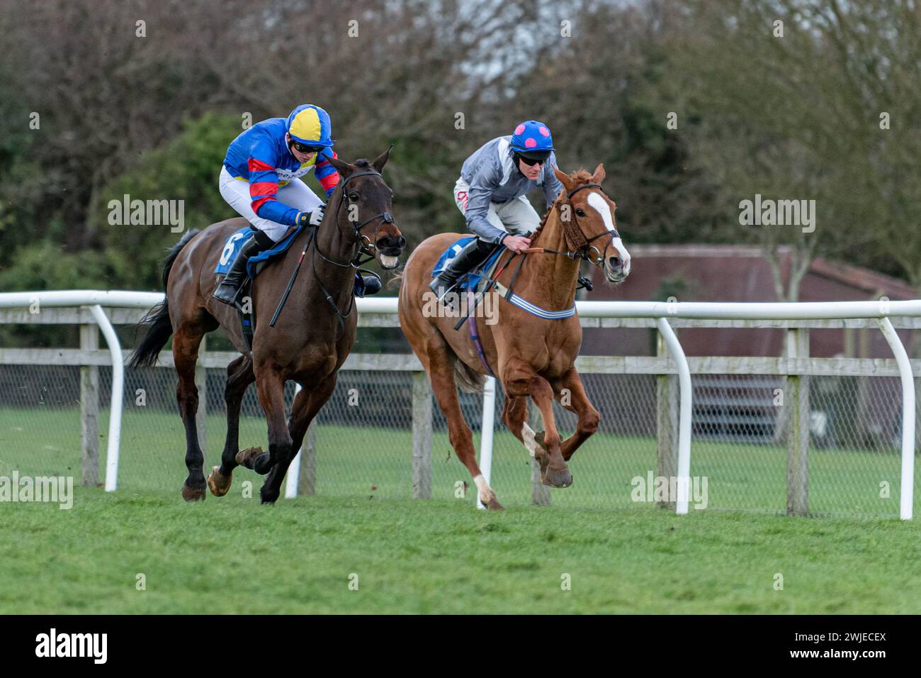 Courses de Wincanton 19 février 2022 - course 5 Banque D'Images