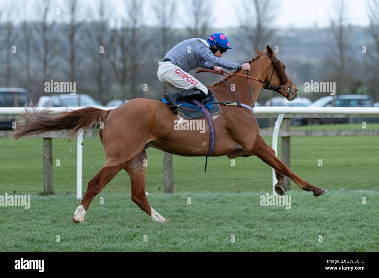 Courses de Wincanton 19 février 2022 - course 5 Banque D'Images