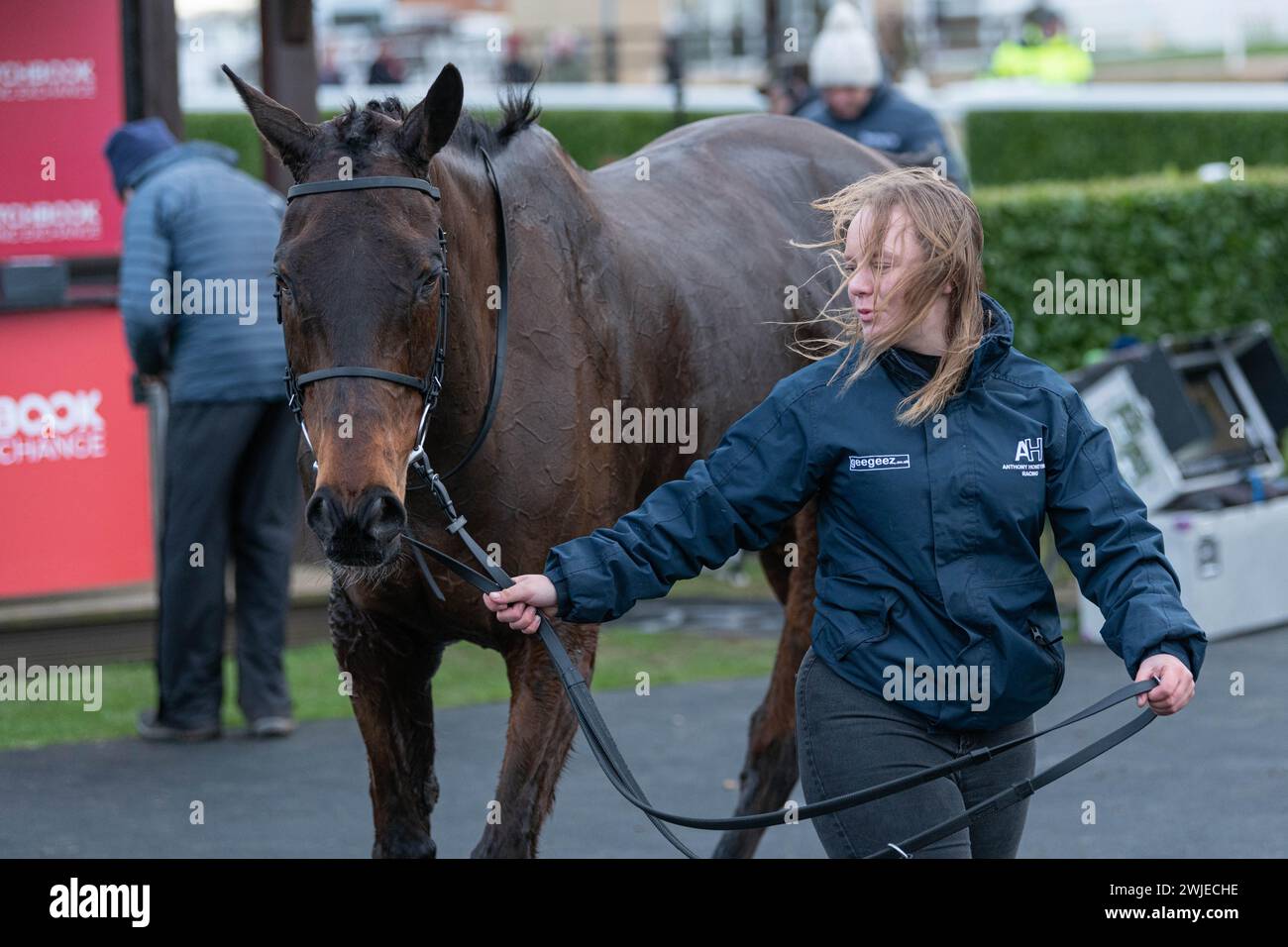 Courses de Wincanton 19 février 2022 - course 5 Banque D'Images