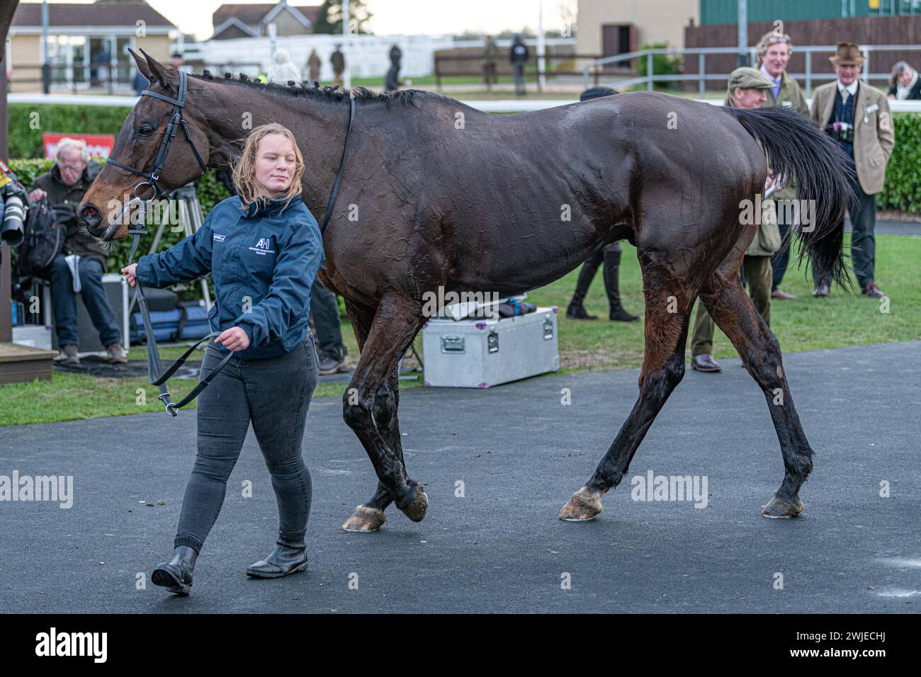 Courses de Wincanton 19 février 2022 - course 5 Banque D'Images