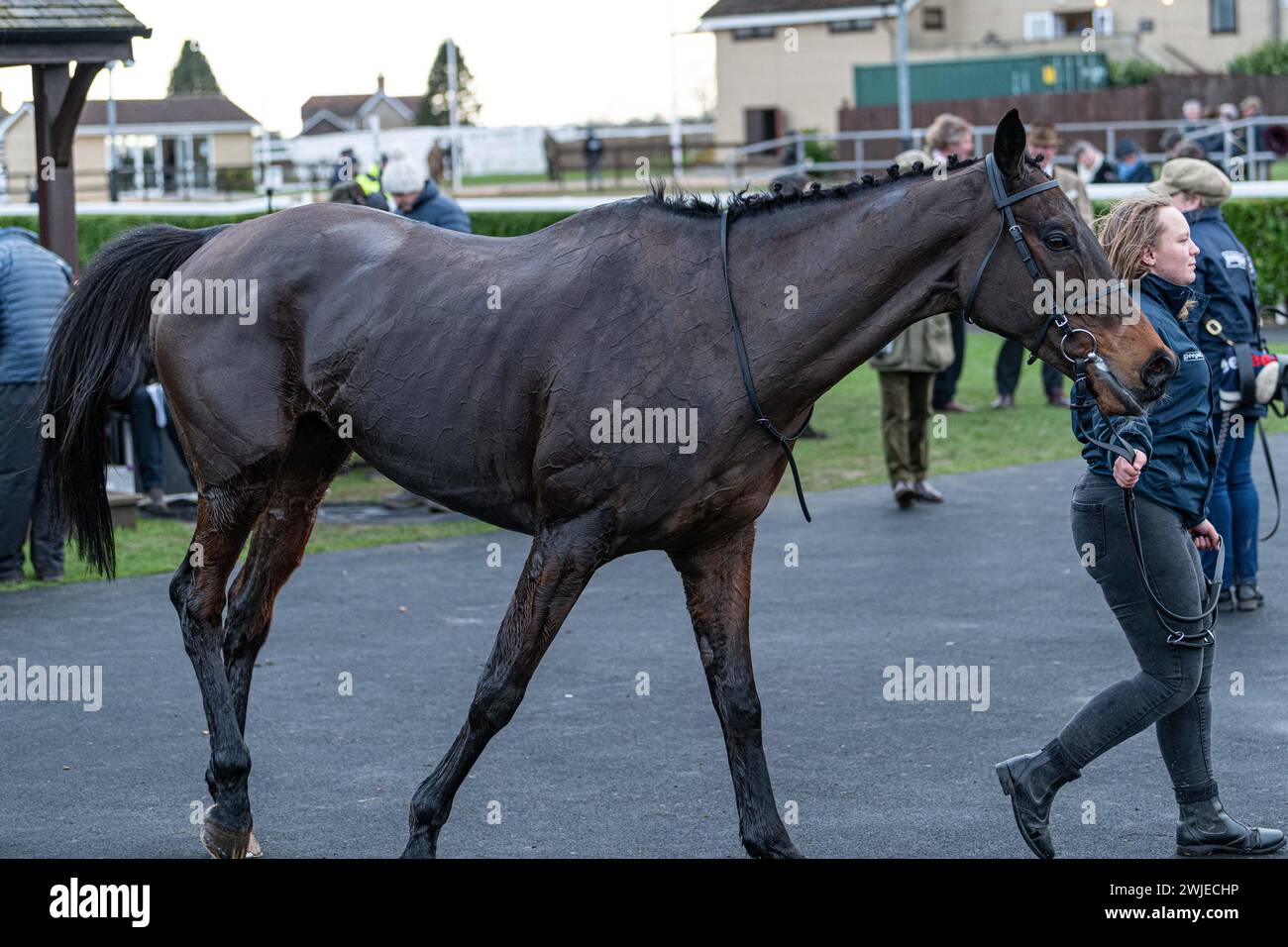 Courses de Wincanton 19 février 2022 - course 5 Banque D'Images