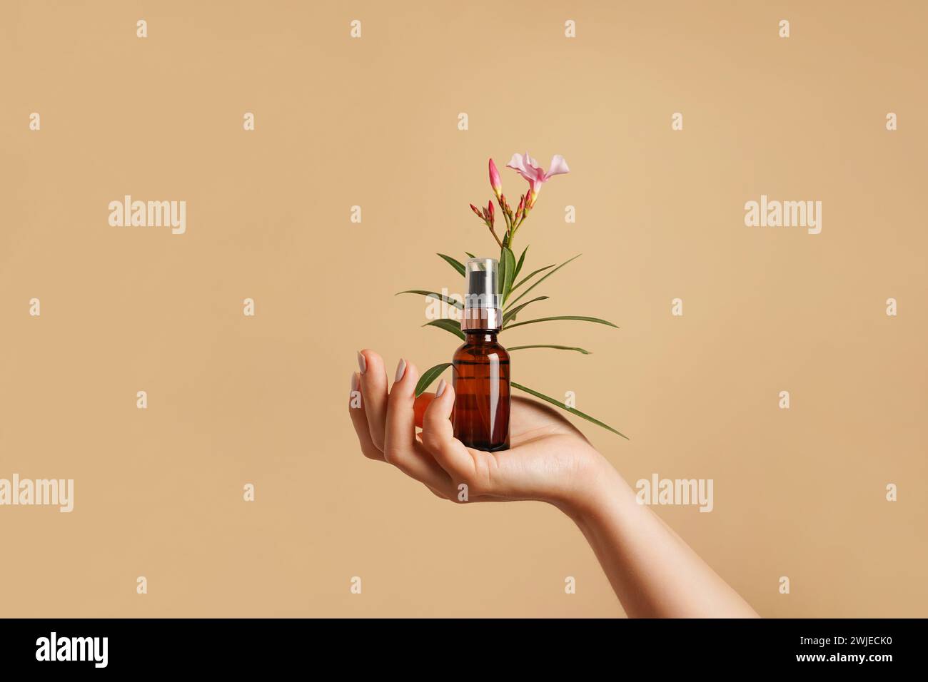 Soins de la peau. Belle main féminine tenir une bouteille en verre brun de soins cosmétiques avec une pipette et une fleur. fond beige. Le concept de beauté produc Banque D'Images