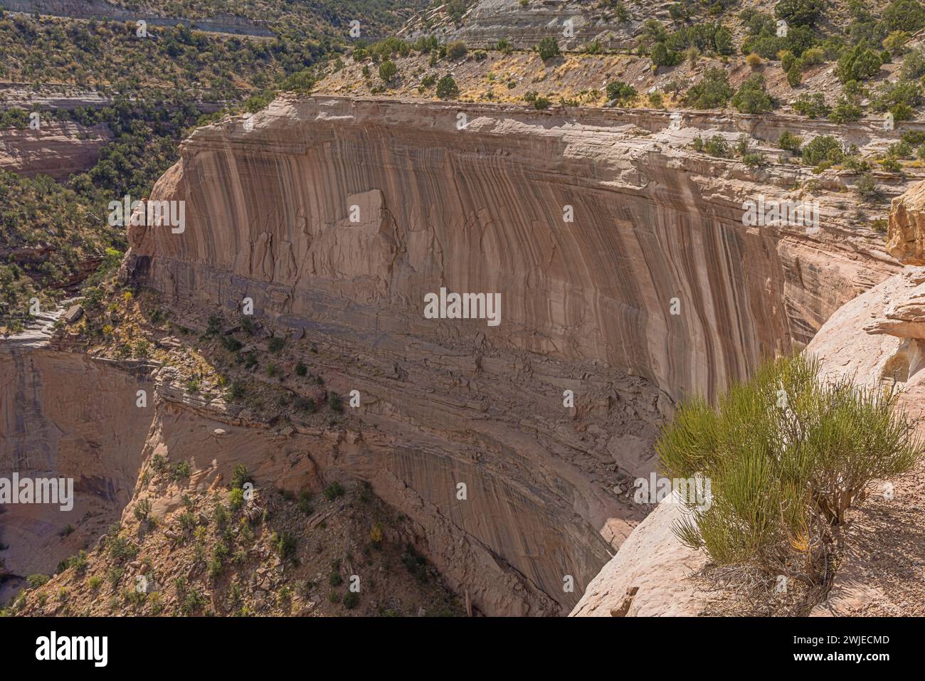 De hautes falaises à côté de la pointe des artistes dans le Colorado National Monument Banque D'Images