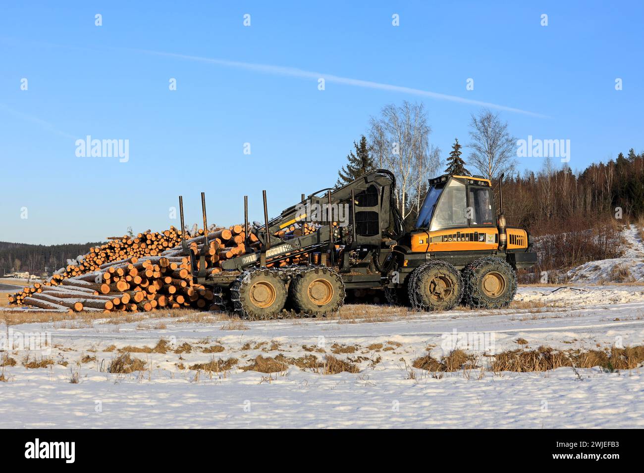 Transporteur forestier Ponsse Wise avec chaînes à neige sur pneus et grumes de pin empilées sur le chantier en hiver. Salo, Finlande. 10 février 2024. Banque D'Images