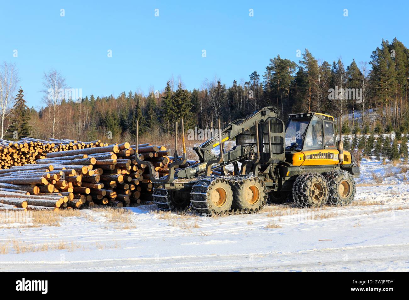 Transporteur forestier Ponsse Wise avec chaînes à neige sur pneus et grumes de pin empilées sur le chantier en hiver. Salo, Finlande. 9 février 2024. Banque D'Images