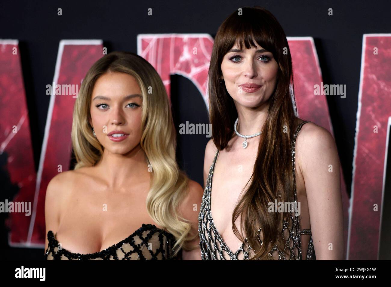 Sydney Sweeney und Dakota Johnson BEI der Weltpremiere des Kinofilms Madame Web im Regency Village Theatre. Los Angeles, 12.02.2024 *** Sydney Sweeney et Dakota Johnson à la première mondiale du film Madame Web au Regency Village Theatre Los Angeles, 12 02 2024 Foto:XJ.xBlocx/xFuturexImagex madame web 4277 Banque D'Images