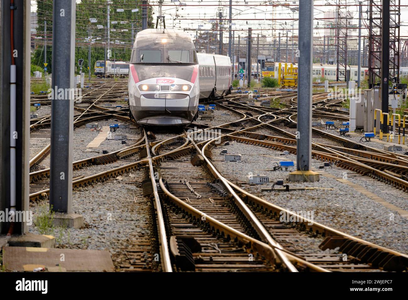 Belgique, Bruxelles : gare de Bruxelles-Sud. TGV Inoui train à grande vitesse entrant dans la gare Banque D'Images