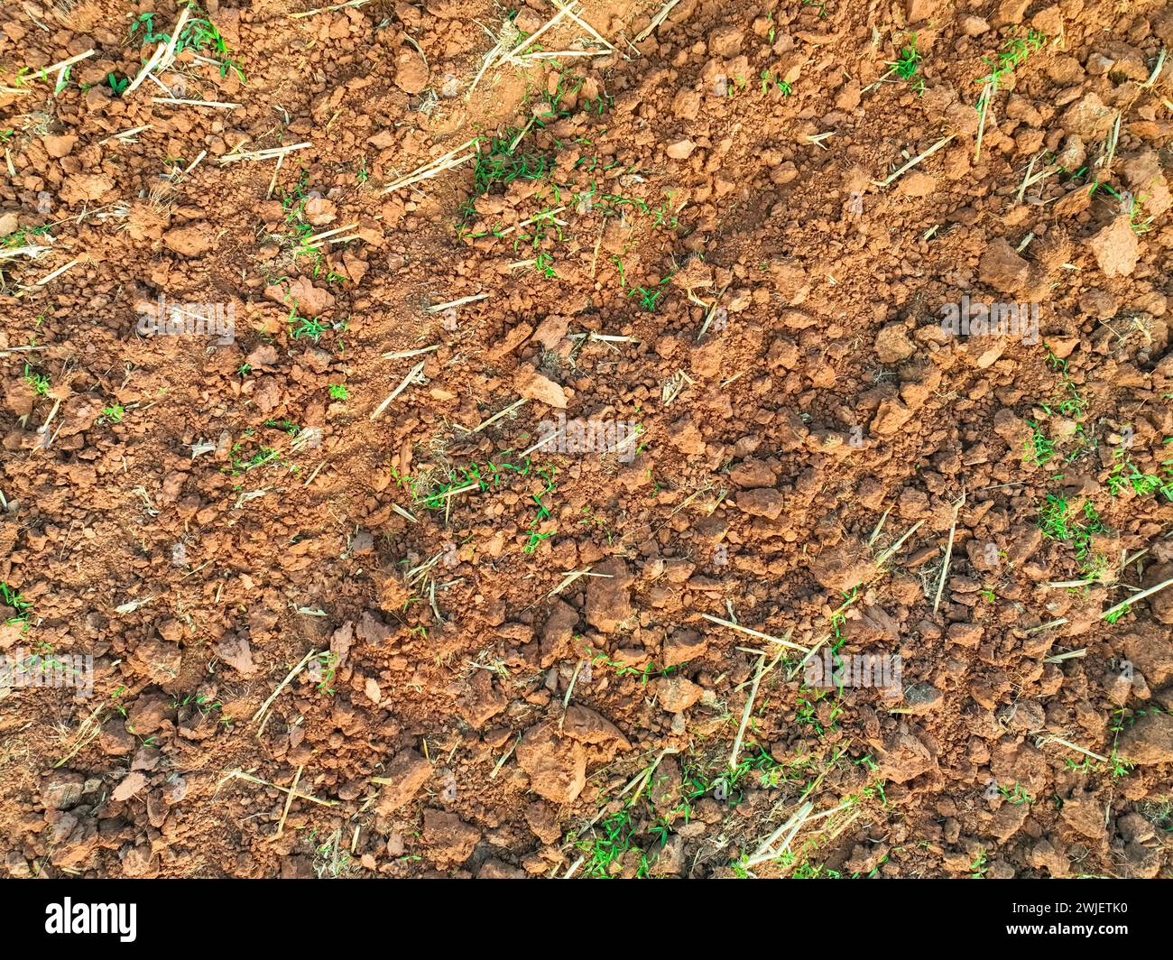 Vue aérienne d'un champ labouré agricole. Labour minimal pour des sols plus sains. Sol fertile dans la ferme agricole biologique. Conservation des sols. Maintenir Banque D'Images