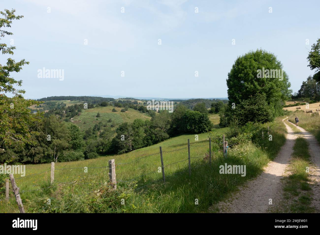 Saint-Juery (sud de la France) : paysage du Parc naturel régional de l'Aubrac Banque D'Images