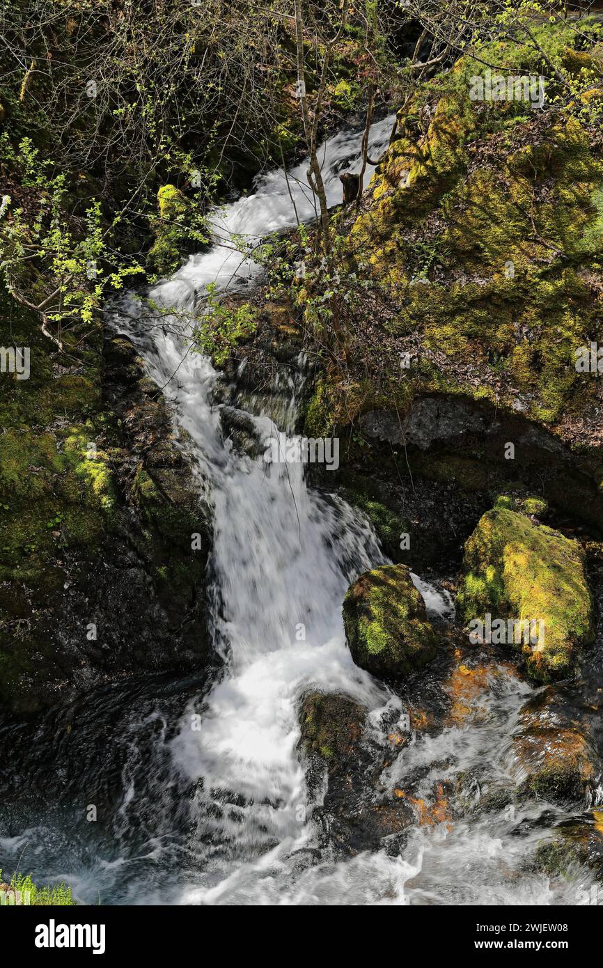 342+ débit d'eau élevé des sources de Vevcani descendant de la montagne Jablanica, puis coulant à travers le village. Vevchani-Macédoine du Nord. Banque D'Images