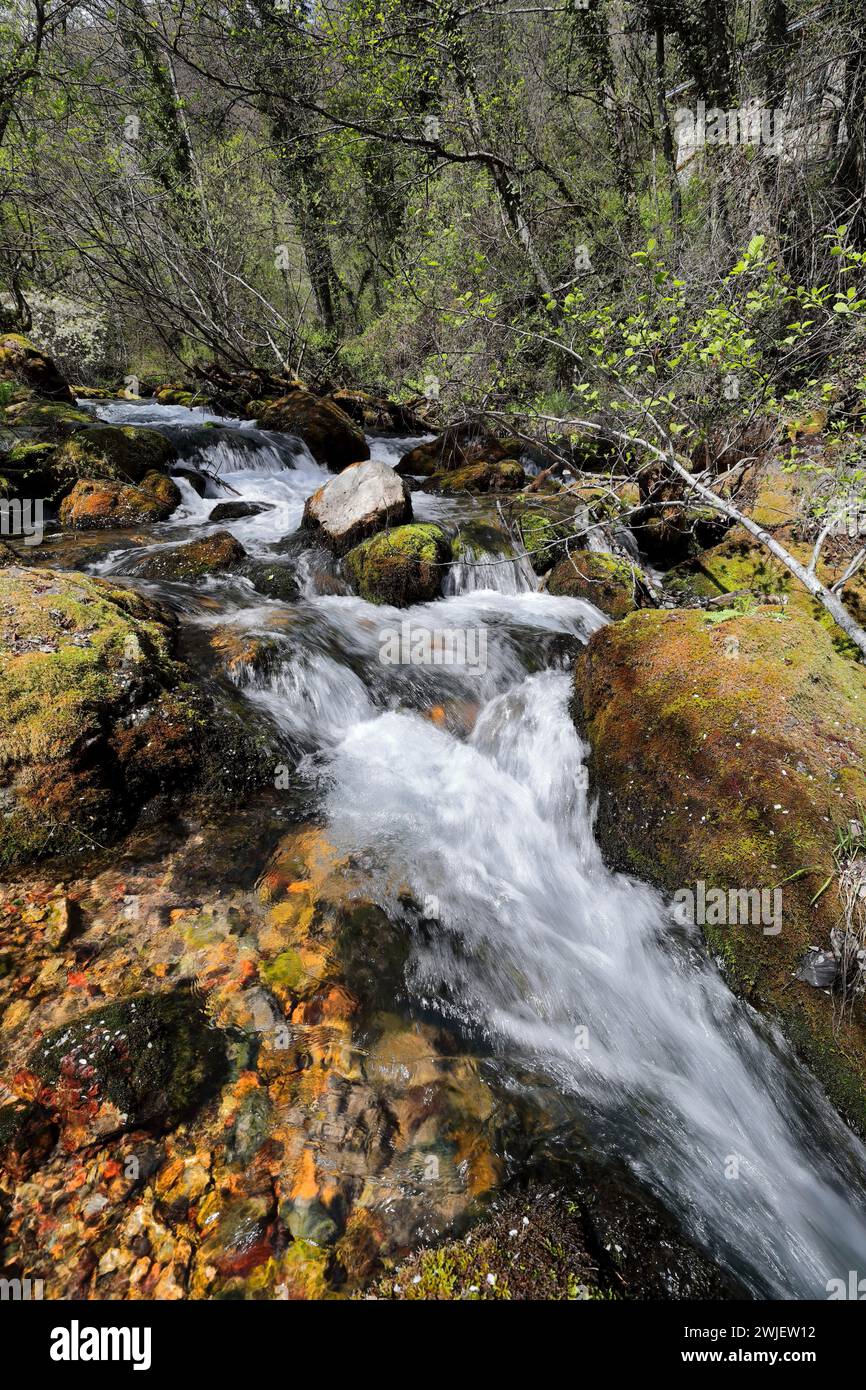 344 débit d'eau élevé des sources de Vevcani descendant de la montagne Jablanica, puis traversant le village. Vevchani-Macédoine du Nord. Banque D'Images