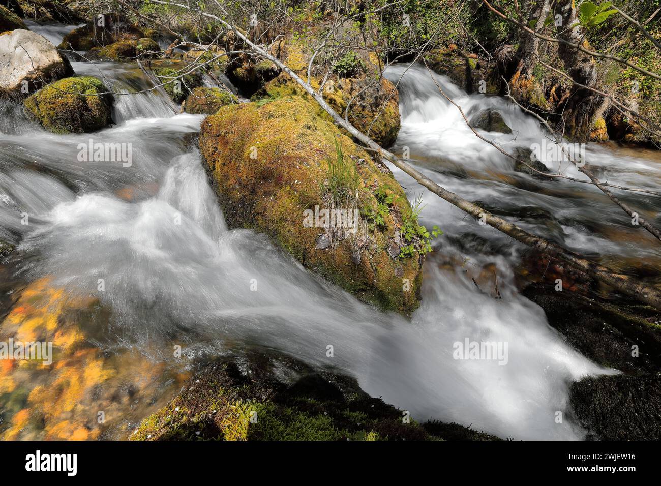 345 débit d'eau élevé des sources de Vevcani descendant de la montagne Jablanica, puis traversant le village. Vevchani-Macédoine du Nord. Banque D'Images