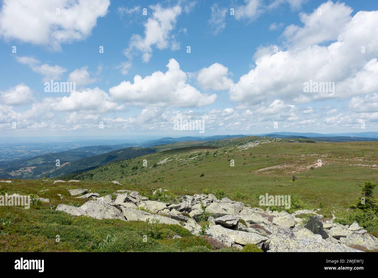 Chaîne montagneuse des Monts du Forez (centre-sud de la France) : vue d’ensemble depuis Pierre-sur-haute. Paysage du site naturel des Hautes Chaumes en été Banque D'Images