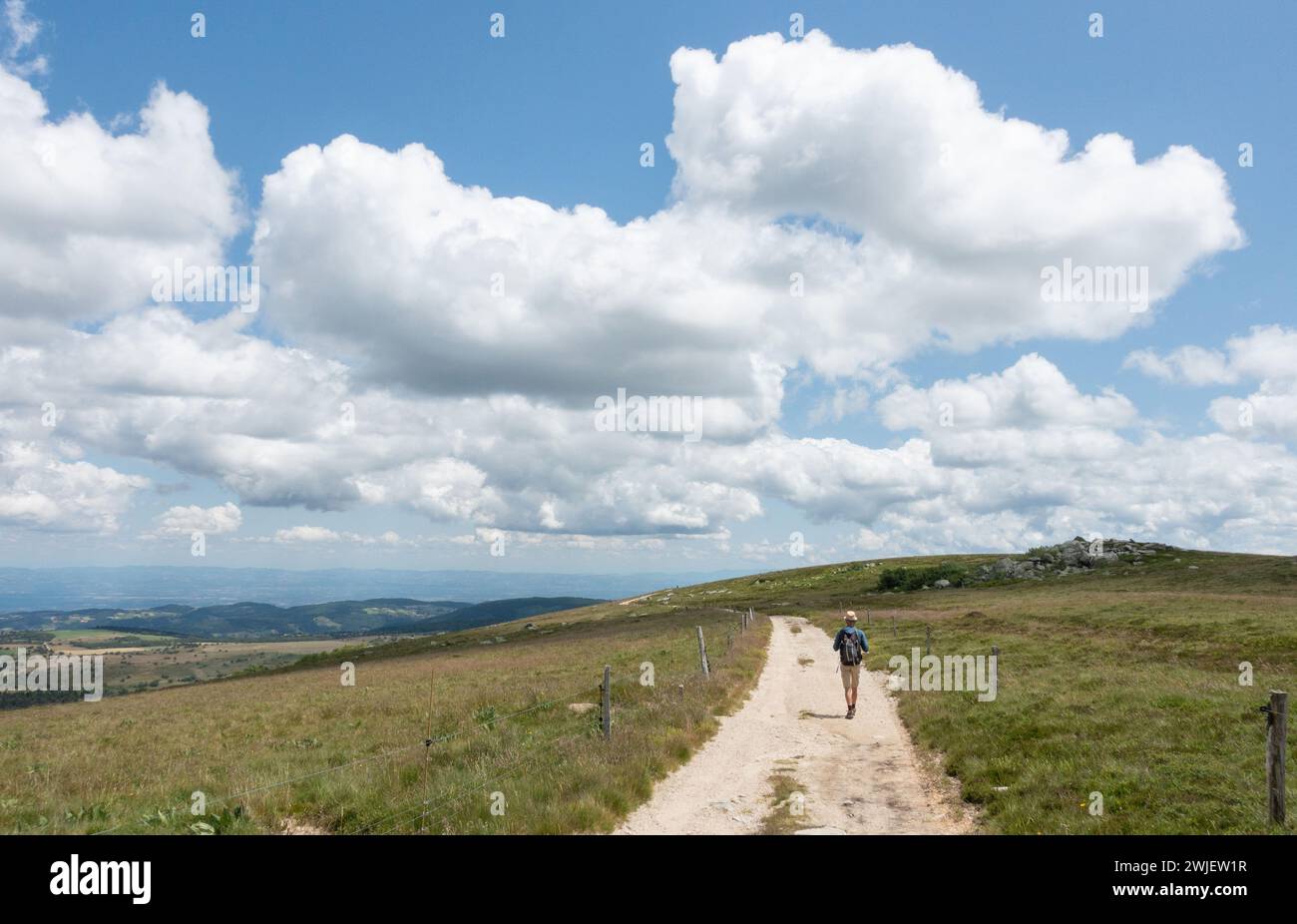 Chaîne montagneuse des Monts du Forez (centre-sud de la France) : vue d’ensemble depuis Pierre-sur-haute. Paysage du site naturel des Hautes Chaumes en été Banque D'Images