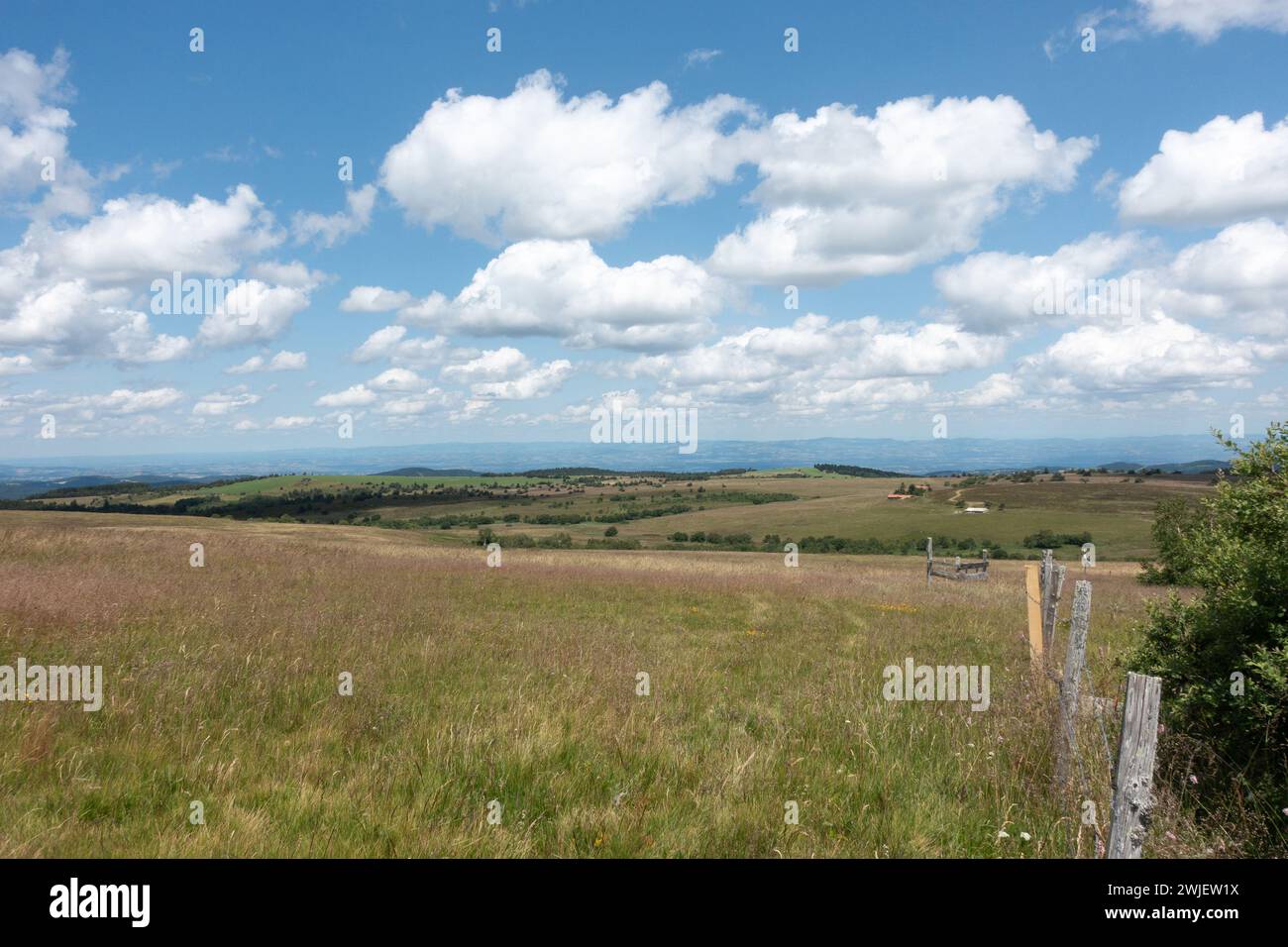 Chaîne montagneuse des Monts du Forez (centre-sud de la France) : vue d’ensemble depuis Pierre-sur-haute. Paysage du site naturel des Hautes Chaumes en été Banque D'Images