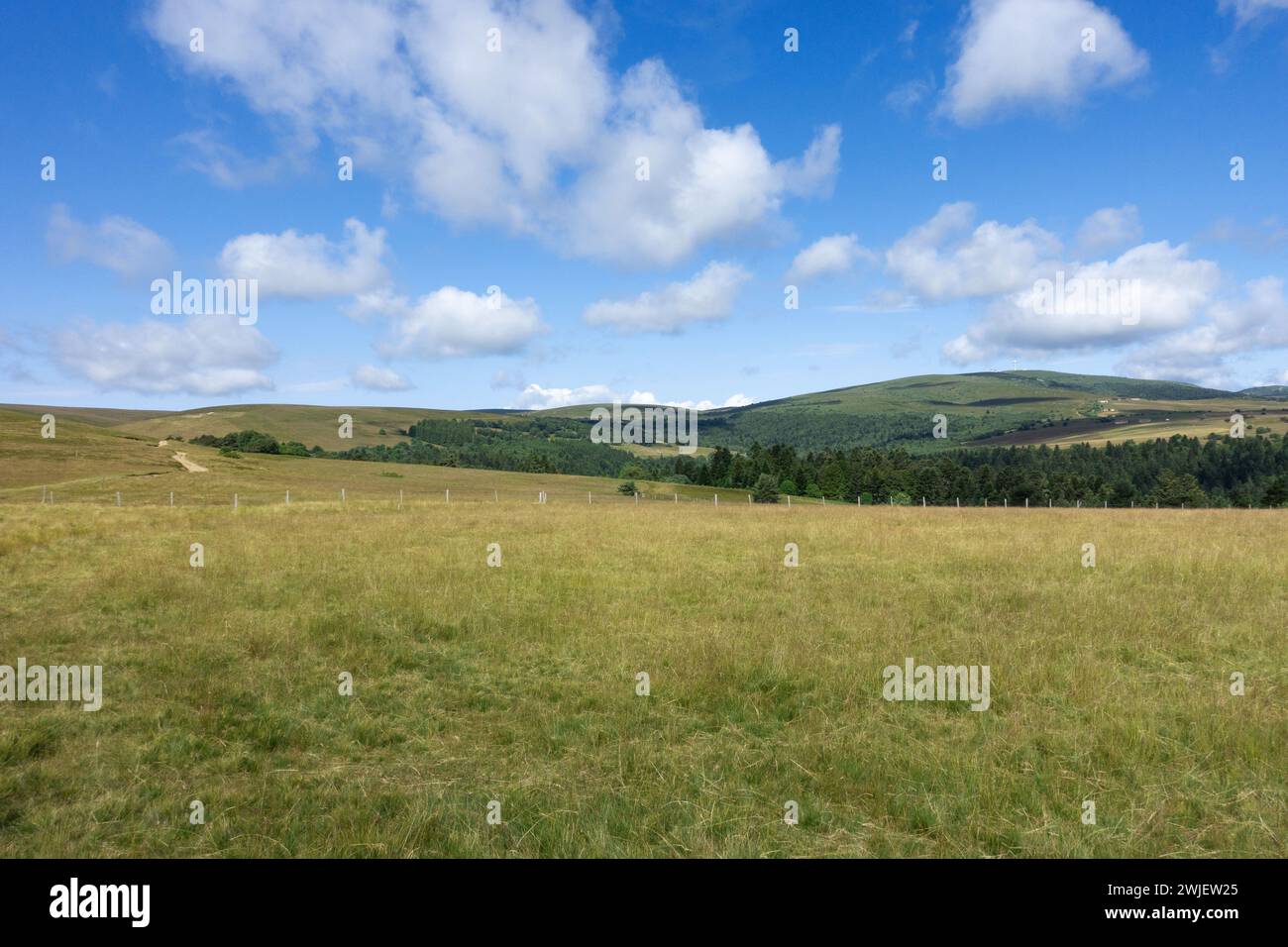 Chaîne montagneuse des Monts du Forez (centre-sud de la France) : paysage du site naturel des Hautes Chaumes en été, sur la commune de Sauvain Banque D'Images