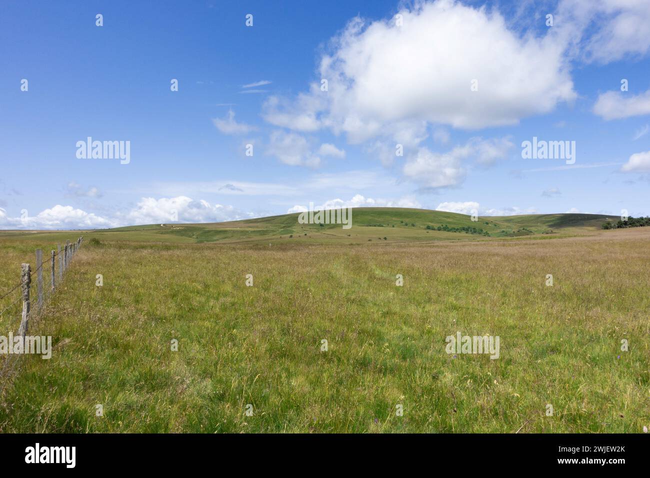 Chaîne montagneuse des Monts du Forez (centre-sud de la France) : paysage du site naturel des Hautes Chaumes en été, sur la commune de Sauvain Banque D'Images