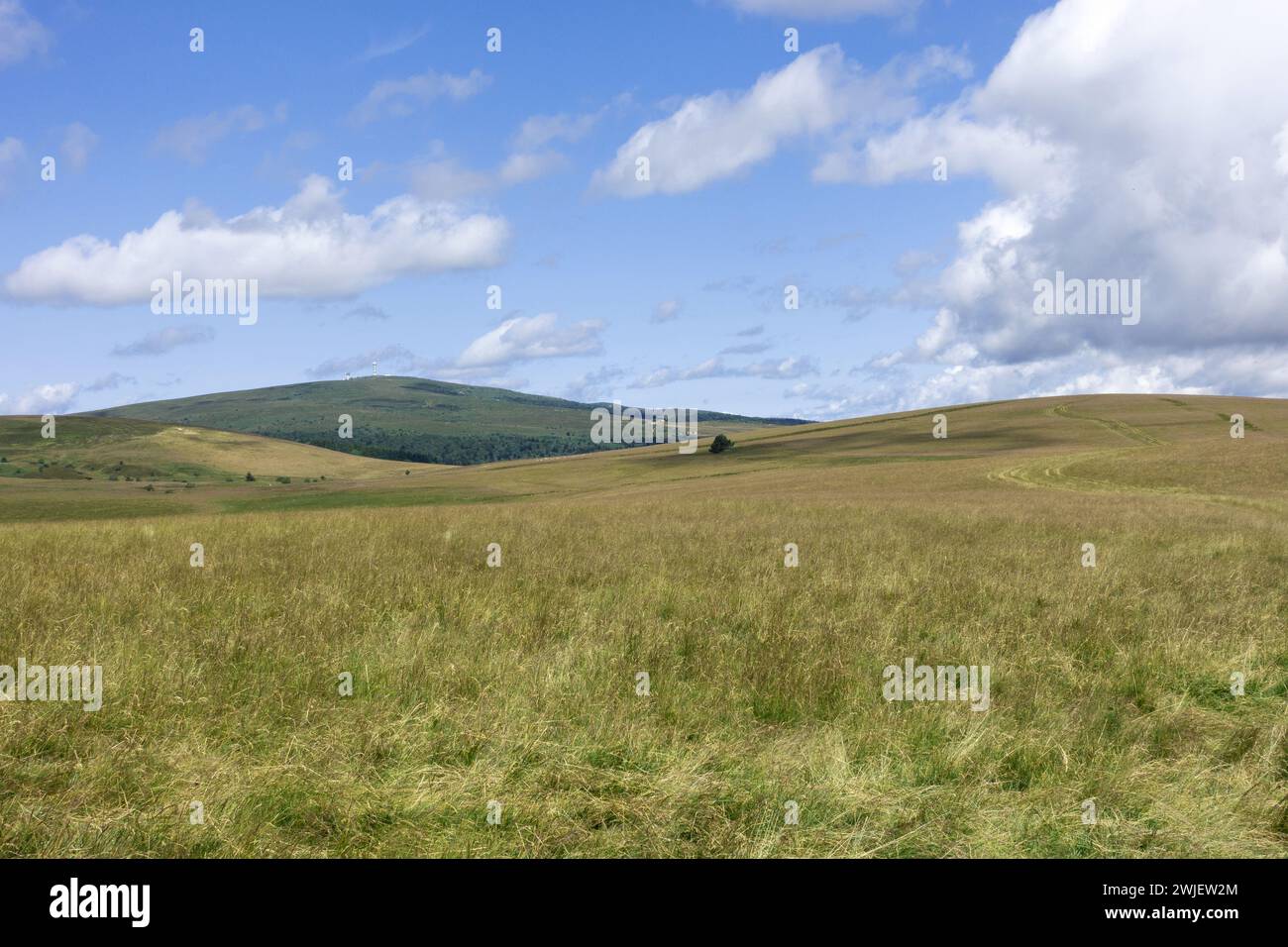 Chaîne montagneuse des Monts du Forez (centre-sud de la France) : paysage du site naturel des Hautes Chaumes en été, sur la commune de Sauvain Banque D'Images