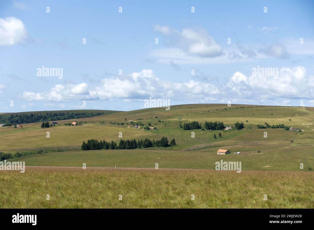 Chaîne montagneuse des Monts du Forez (centre-sud de la France) : paysage du site naturel des Hautes Chaumes en été, sur la commune de Sauvain Banque D'Images