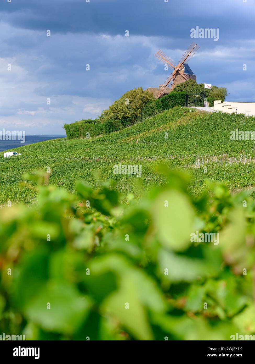 Verzenay (nord-ouest de la France) : moulin à vent et la maison de Champagne G.H Mumm vue depuis un vignoble Banque D'Images