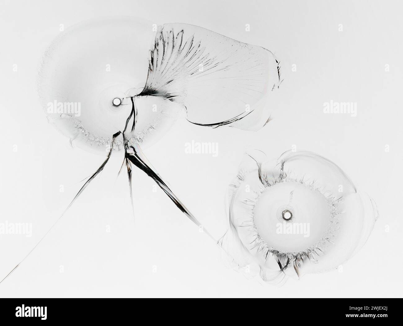 Texture de verre craquelé sur fond blanc. Gros plan de la fenêtre cassée avec des fissures. Banque D'Images