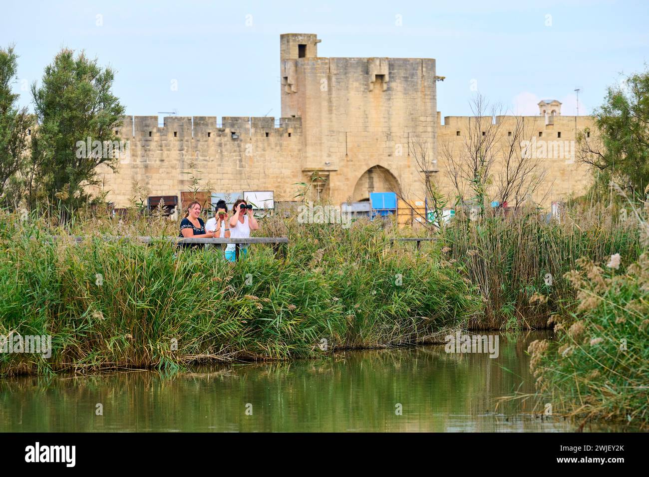 Aigues-mortes (sud de la France) : tourisme sur le canal du Rhône à Sète. Trois femmes regardant le paysage de la Camargue à travers b Banque D'Images