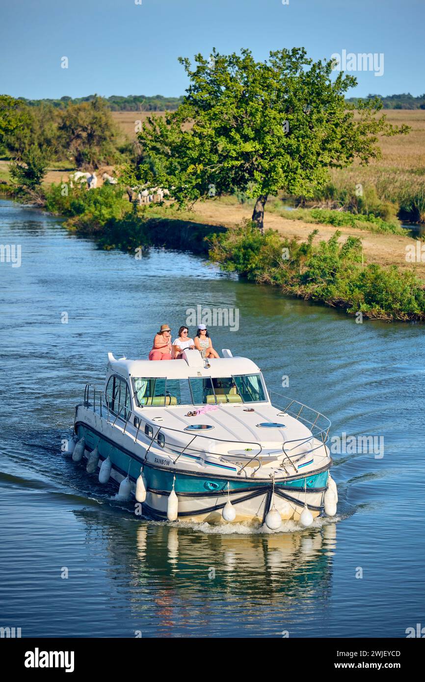Navigation de plaisance sur le canal du Rhône à Sète, près de Saint-Gilles (sud de la France). Barge sur le canal et chevaux de Camargue sur la rive. Thre Banque D'Images