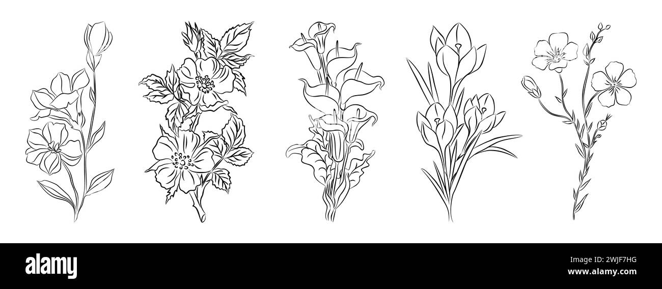 Ensemble de fleurs sauvages, de jardin, de plantes ligne Ar. Illustration de Vecteur