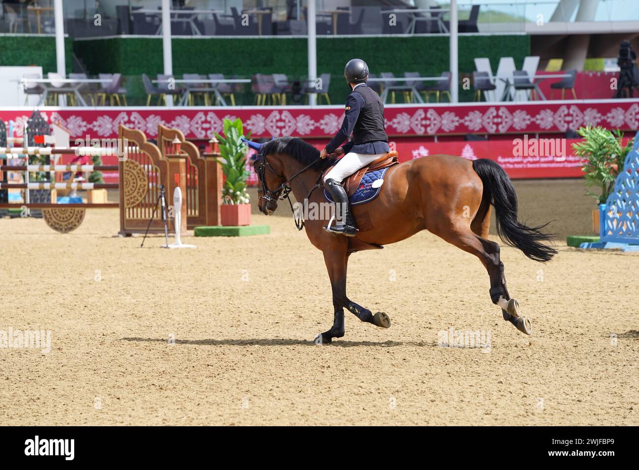 Le festival équestre international H The Amir Sword débute au Longines Al Shaqab Outdoor à Doha Qatar Banque D'Images